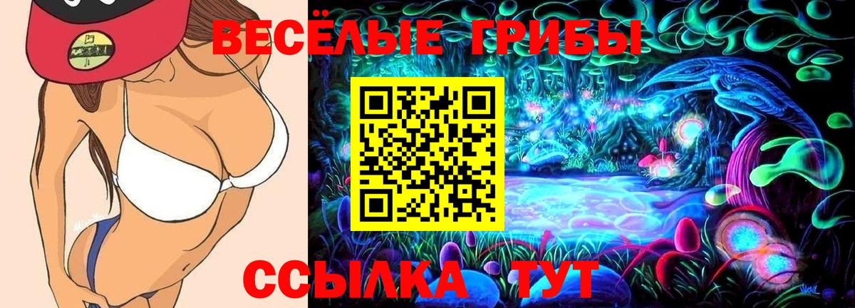 Галлюциногенные грибы Magic Shrooms  Вход с VPN  наркотики  Чернушка 