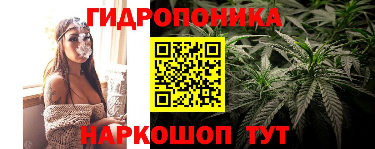 Каннабис планчик  Вход с VPN  Бошки Шишки AK-47  МАРИХУАНА план  Чернушка 